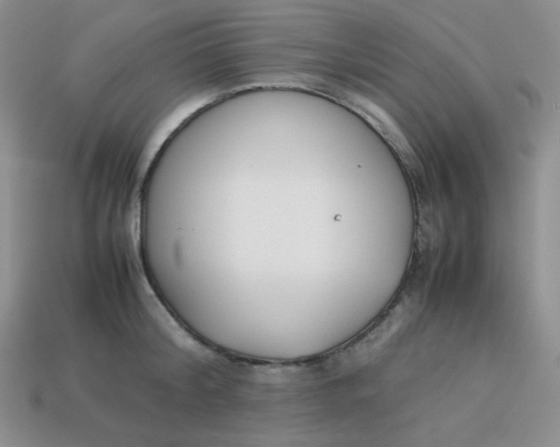 X0000113750804200910141024