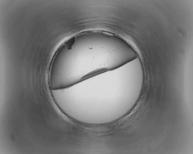 X0000113750805200910141024