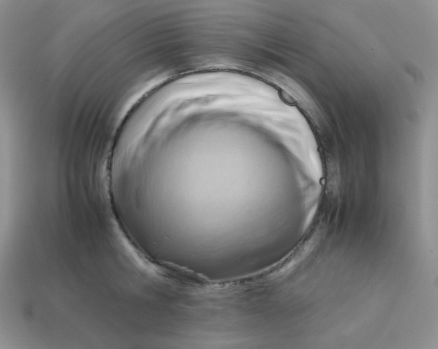 X0000113750806200910141024