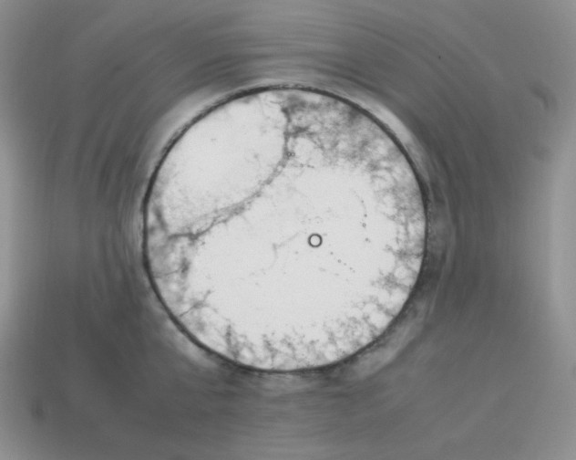 X0000113750807200910141024