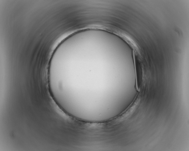 X0000113750808200910141024