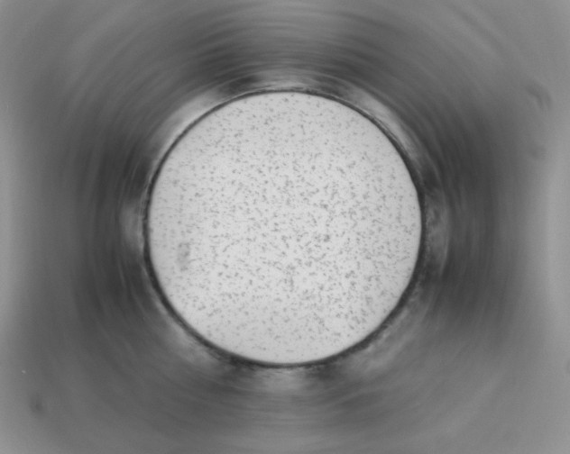 X0000113750810200910141024