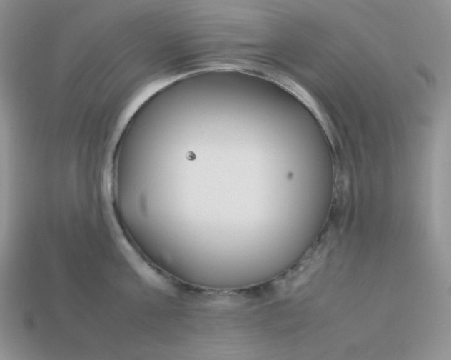 X0000113750811200910141024