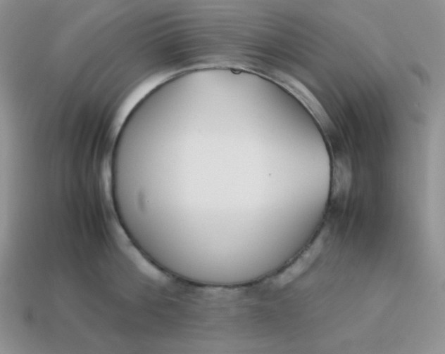 X0000113750812200910141024