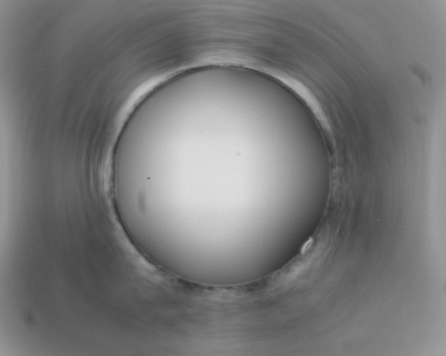 X0000113750815200910141024