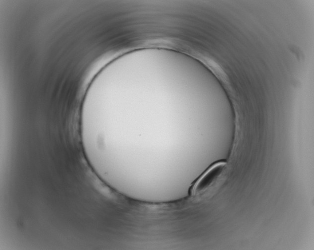 X0000113750816200910141024