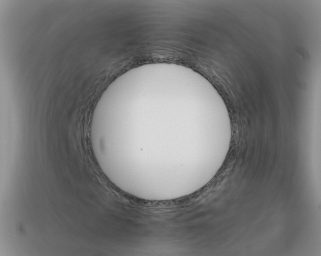 X0000113750817200910141024