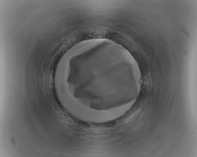 X0000113750818200910141024