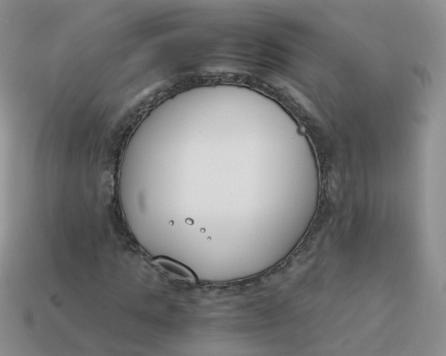 X0000113750821200910141024