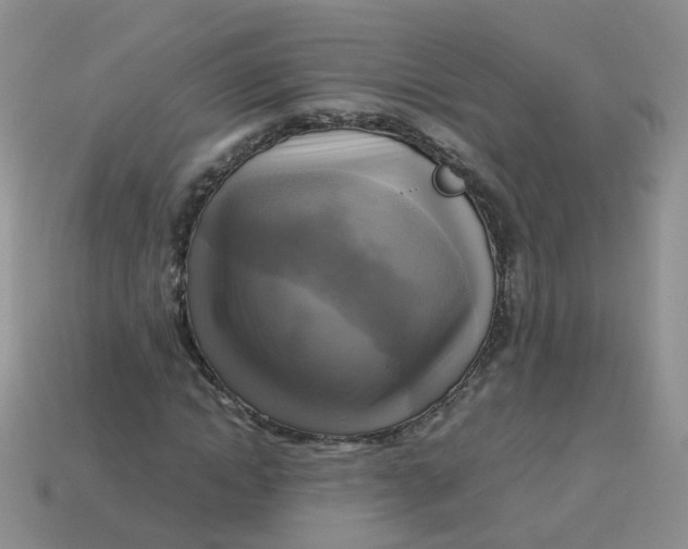 X0000113750822200910141024