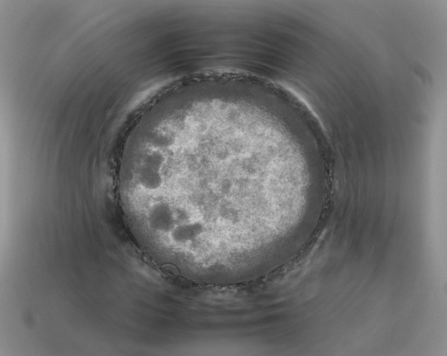 X0000113750823200910141024