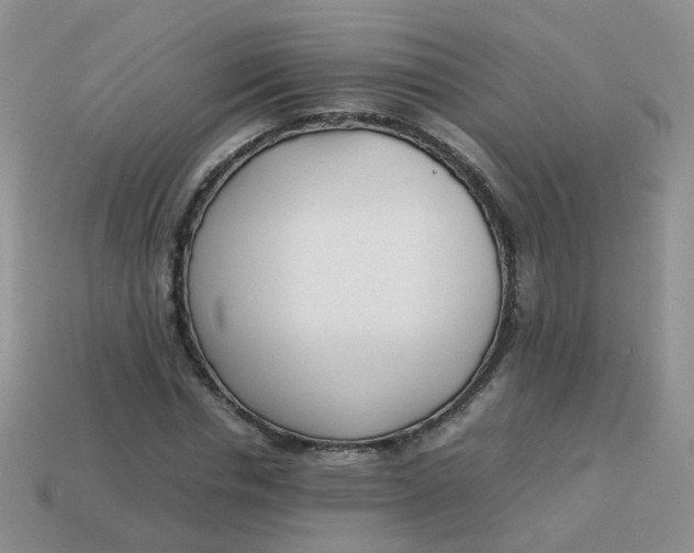 X0000113750826200910141024