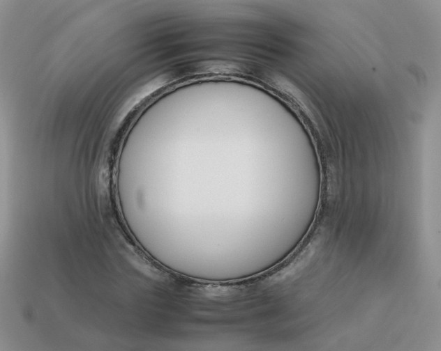 X0000113750827200910141024