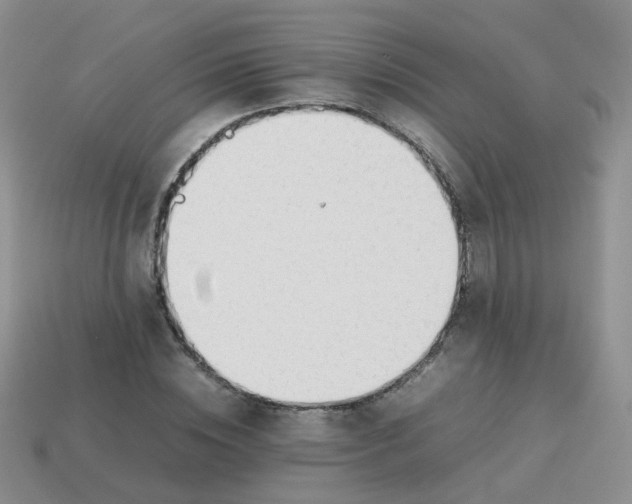 X0000113750828200910141024