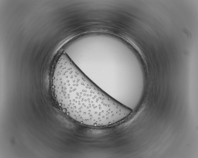 X0000113750829200910141024