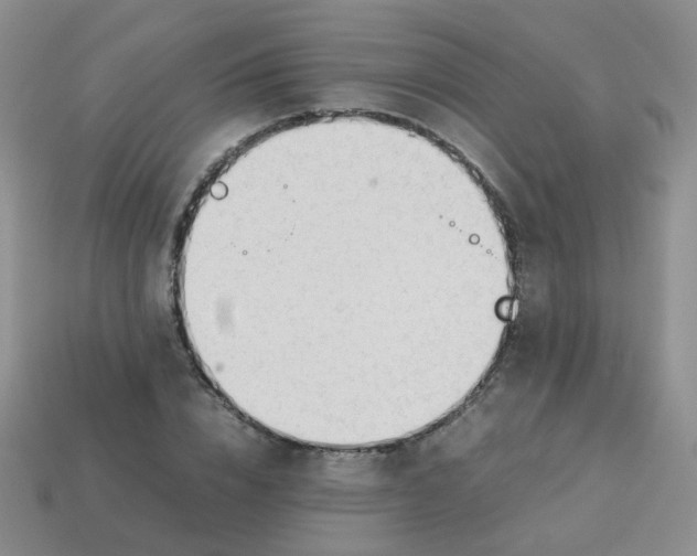 X0000113750832200910141024