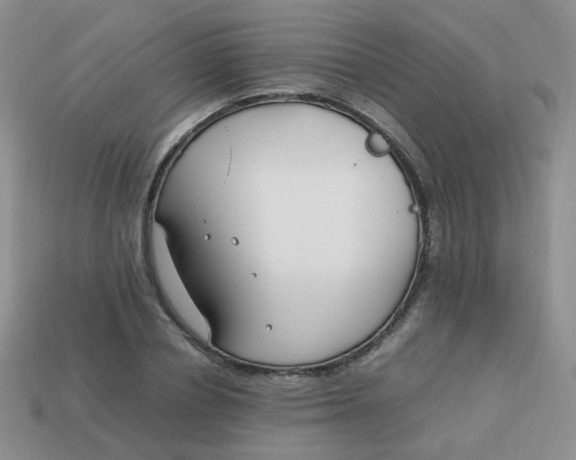 X0000113750834200910141024