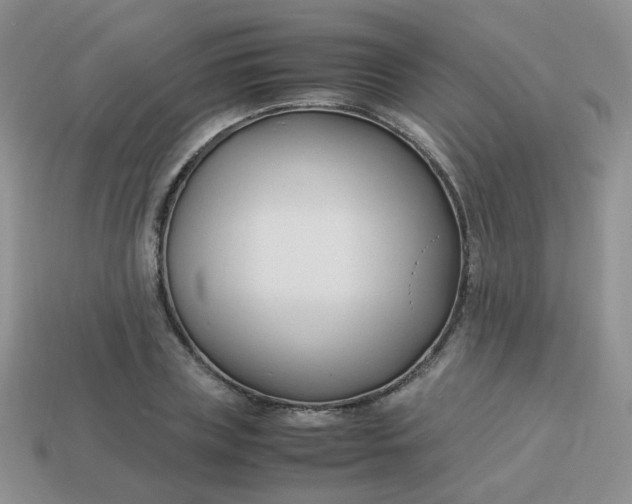 X0000113750835200910141024