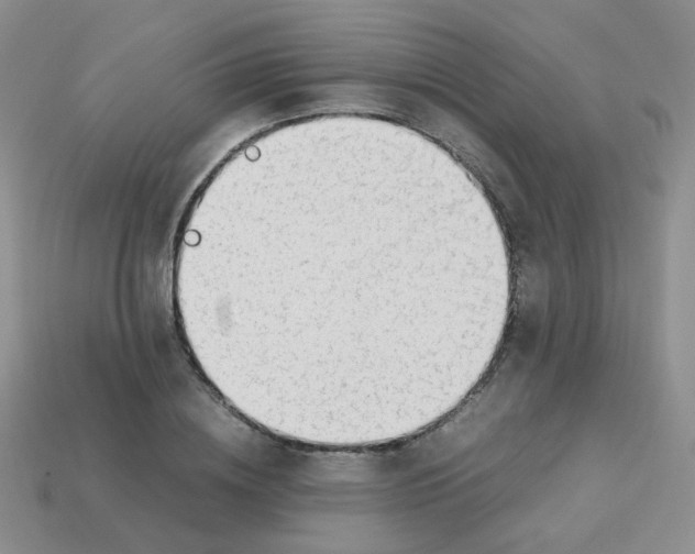 X0000113750836200910141024