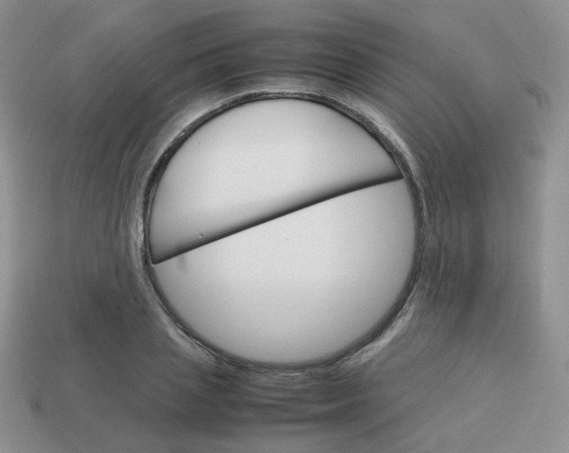 X0000113750837200910141024