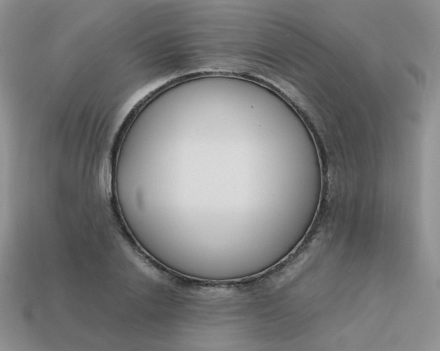 X0000113750838200910141024