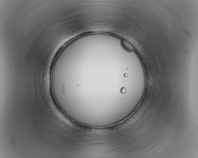 X0000113750840200910141024