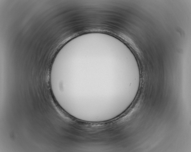 X0000113750841200910141024