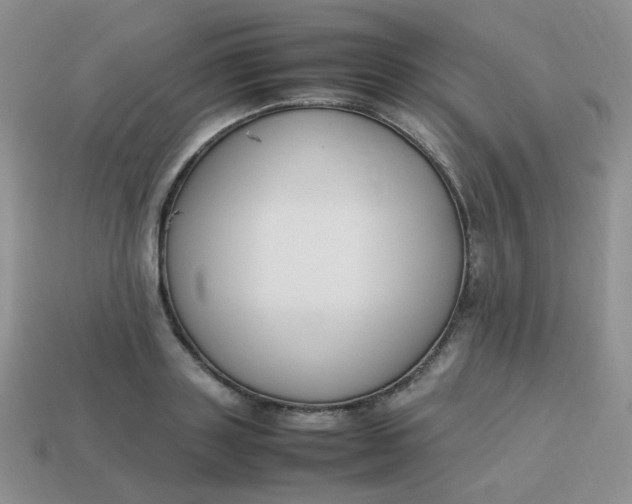 X0000113750843200910141024