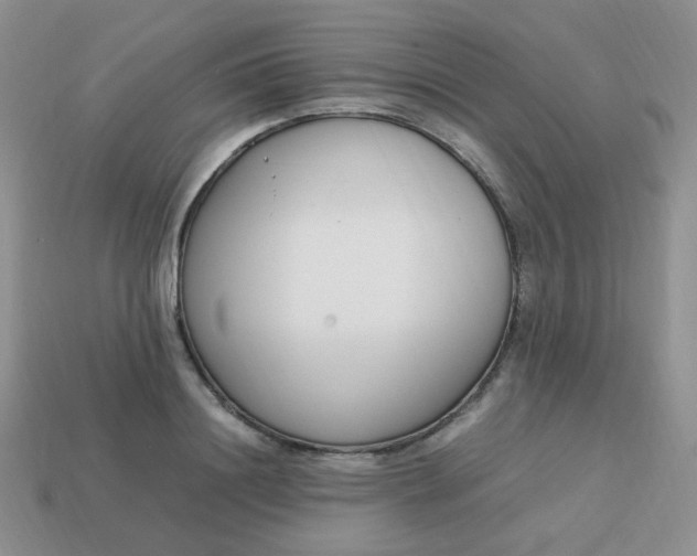 X0000113750844200910141024