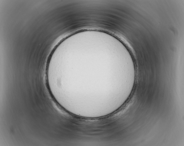 X0000113750845200910141024