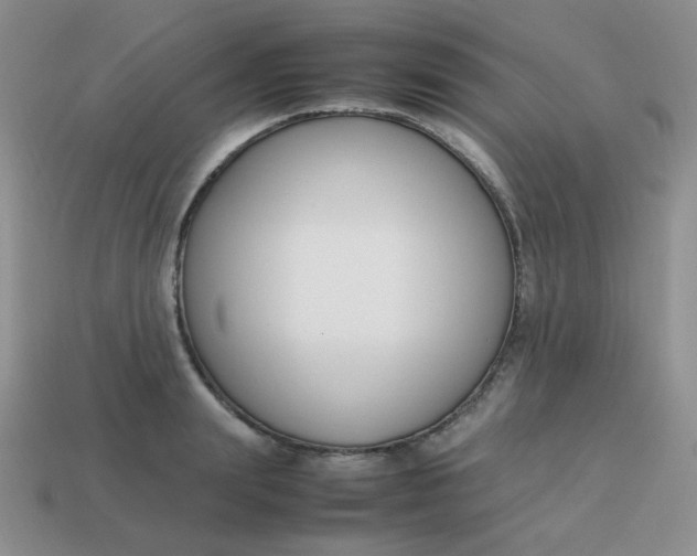 X0000113750847200910141024