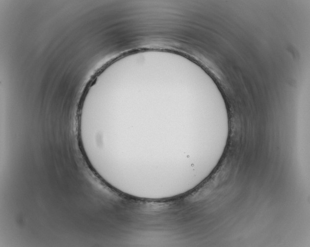 X0000113750848200910141024