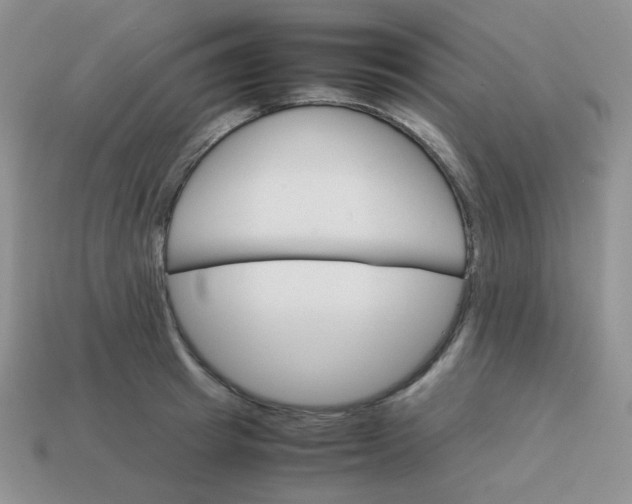 X0000113750849200910141024