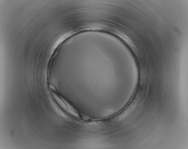 X0000113750850200910141024