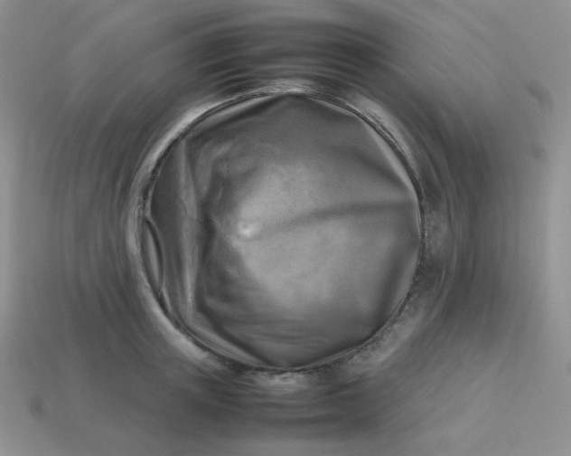 X0000113750851200910141024