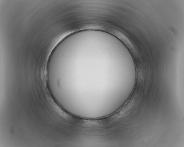 X0000113750852200910141024