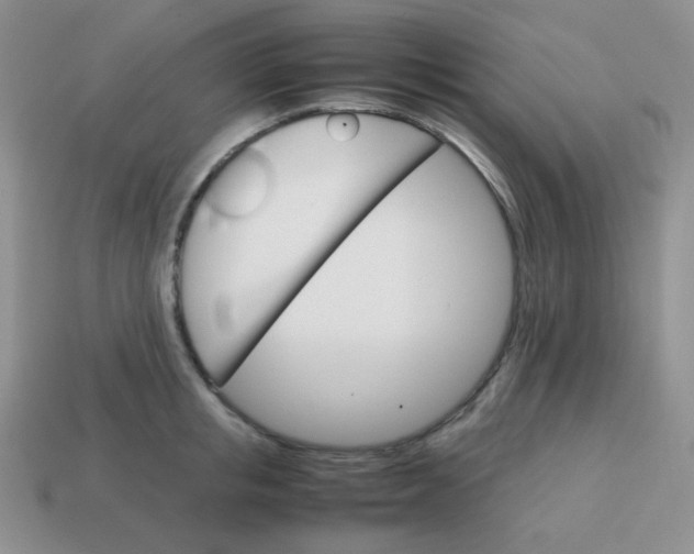 X0000113750853200910141024