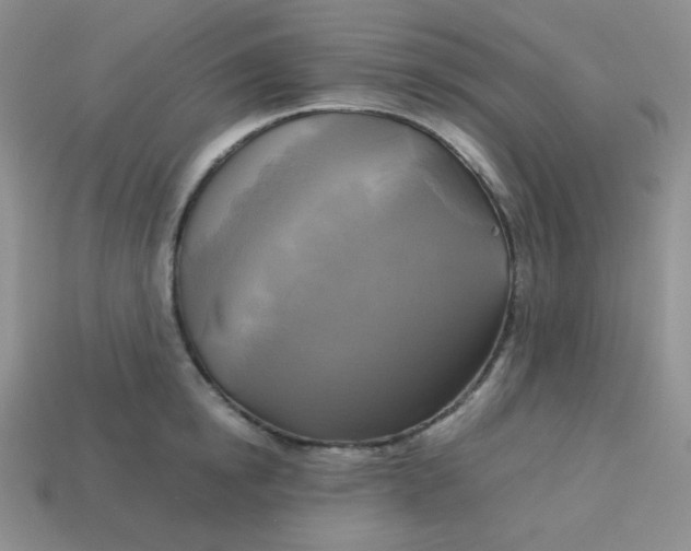 X0000113750854200910141024