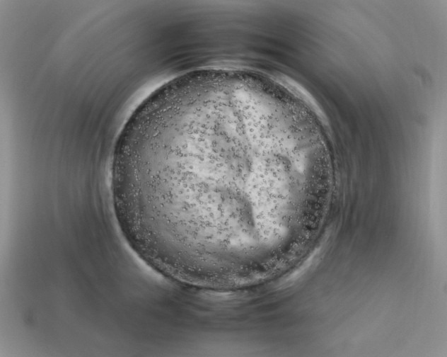 X0000113750855200910141024