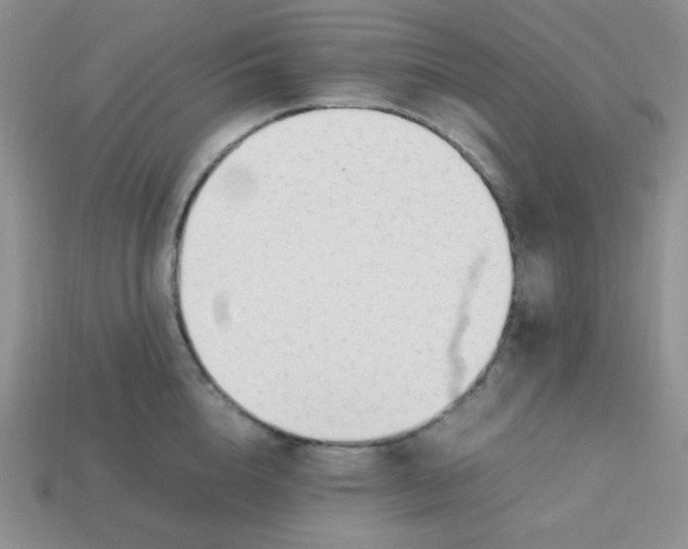 X0000113750856200910141024