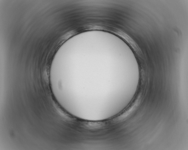 X0000113750857200910141024