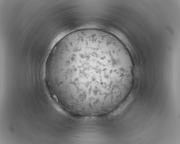 X0000113750858200910141024