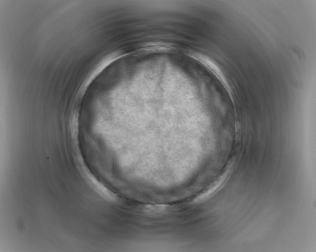 X0000113750859200910141024