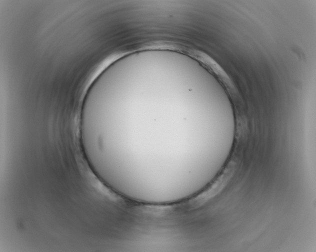 X0000113750860200910141024