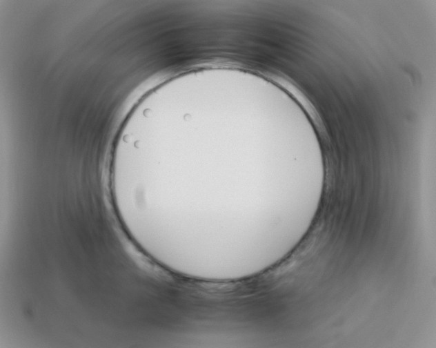 X0000113750861200910141024