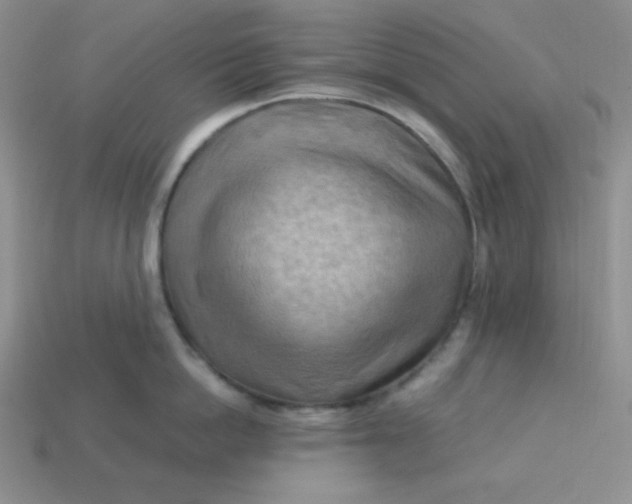 X0000113750862200910141024