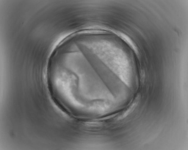 X0000113750863200910141024