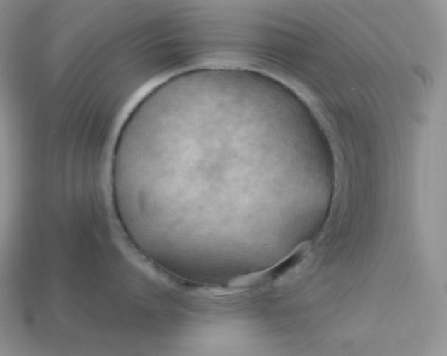 X0000113750864200910141024