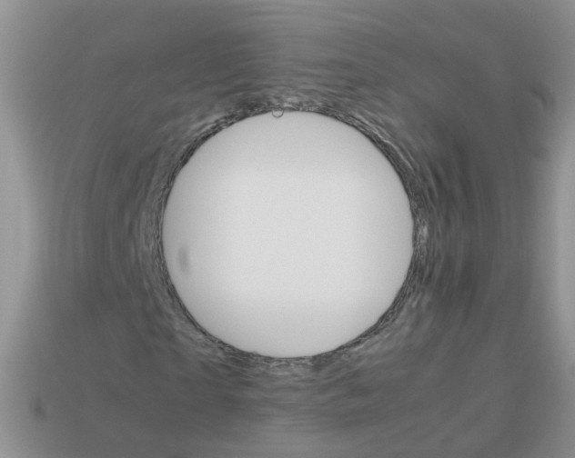 X0000113750865200910141024