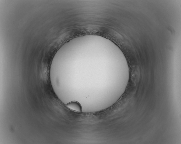 X0000113750866200910141024